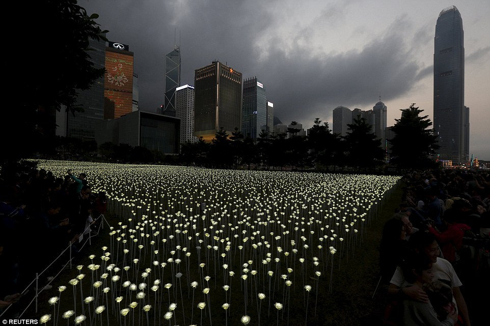 Chen nhau chụp ảnh tại vườn hồng #039;phát sáng#039; 25.000 bông - 2