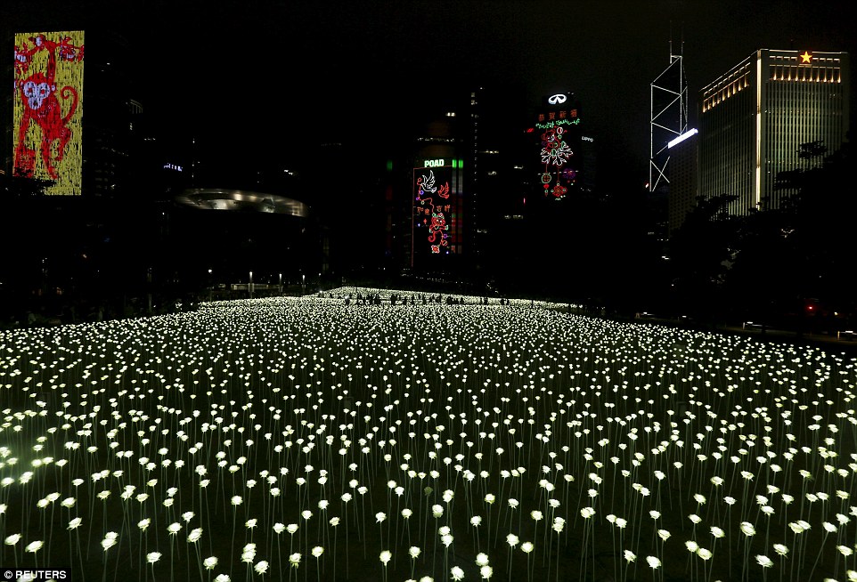 Chen nhau chụp ảnh tại vườn hồng #039;phát sáng#039; 25.000 bông - 1