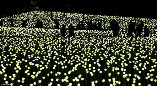 Chen nhau chụp ảnh tại vườn hồng #039;phát sáng#039; 25.000 bông - 6