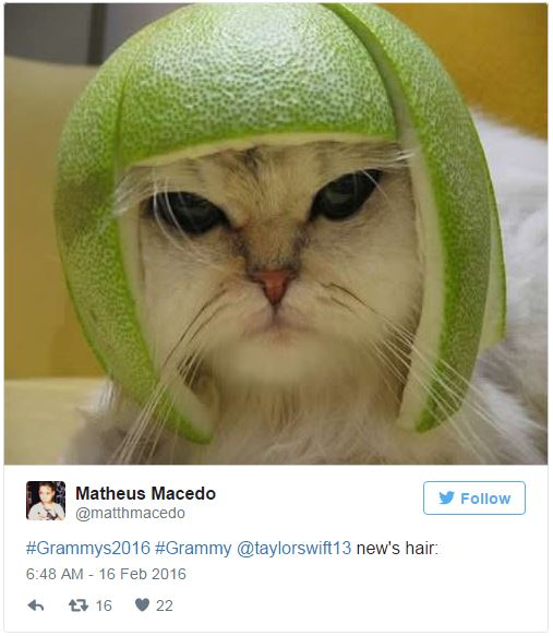 Té ngửa trước hình chế hài hước của Grammy 2016 - 8