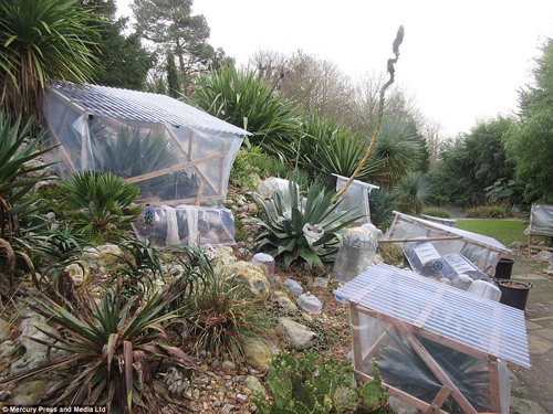 Khu vườn 4000m2 của đôi vợ chồng yêu cây nhất nước Anh - 7