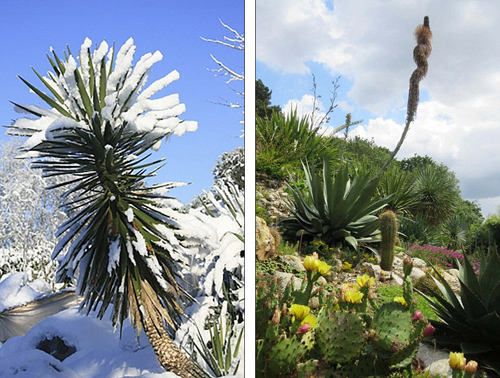 Khu vườn 4000m2 của đôi vợ chồng yêu cây nhất nước Anh - 5