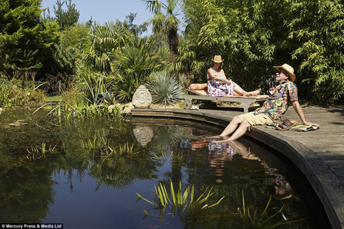 Khu vườn 4000m2 của đôi vợ chồng yêu cây nhất nước Anh - 2