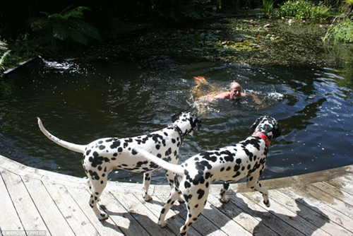 Khu vườn 4000m2 của đôi vợ chồng yêu cây nhất nước Anh - 3