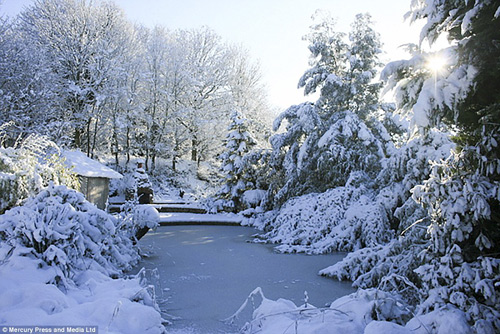 Khu vườn 4000m2 của đôi vợ chồng yêu cây nhất nước Anh - 4