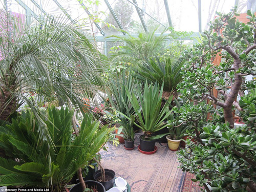 Khu vườn 4000m2 của đôi vợ chồng yêu cây nhất nước Anh - 6