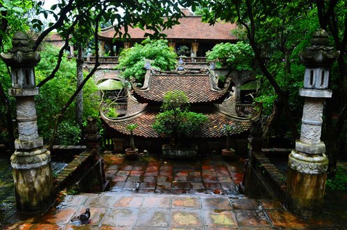 Nghệ sĩ Việt bị #039;tuýt còi#039; vì xây nhà triệu đô trái phép - 7