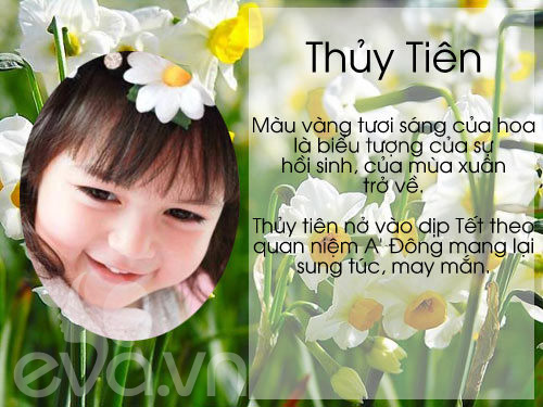 Gợi ý cách đặt tên tuyệt đẹp theo các loài hoa cho con gái - 15