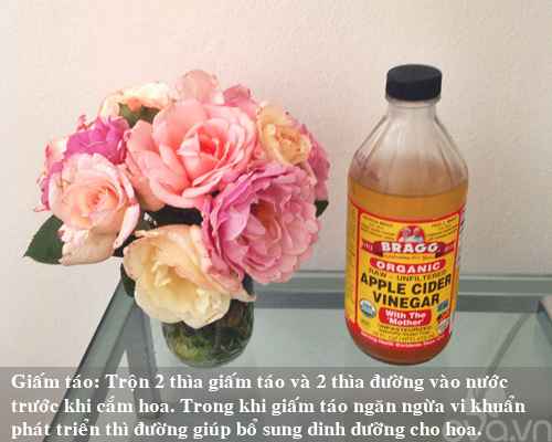 9 bí kíp giữ hoa tươi lâu mẹ nên thủ sẵn - 5
