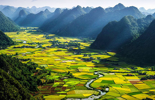 Phong thủy may mắn cho năm 2016 từ A đến Z - 2