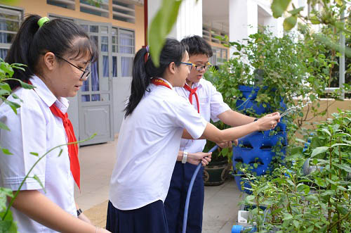 Bất ngờ vườn thực vật bằng vật liệu tái chế của học sinh - 1