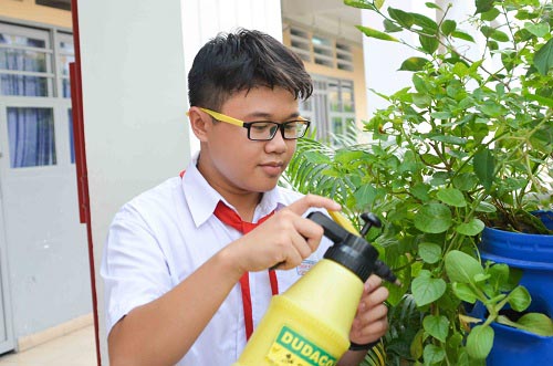 Bất ngờ vườn thực vật bằng vật liệu tái chế của học sinh - 15