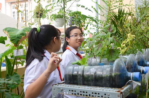 Bất ngờ vườn thực vật bằng vật liệu tái chế của học sinh - 17