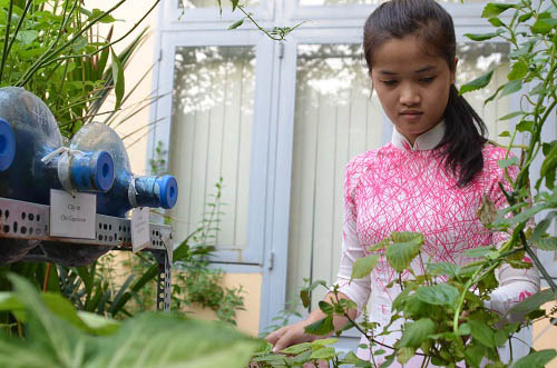 Bất ngờ vườn thực vật bằng vật liệu tái chế của học sinh - 18