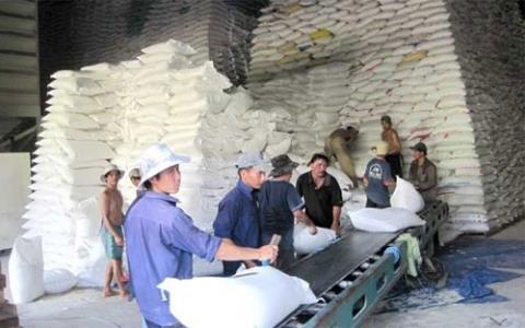 Giá gạo Việt Nam bằng gạo Thái Lan - 1
