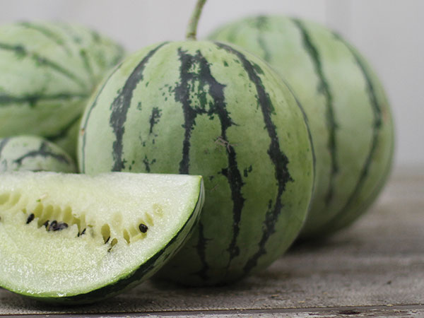 Hạt giống dưa hấu ruột trắng lạ mắt hút hàng - 1