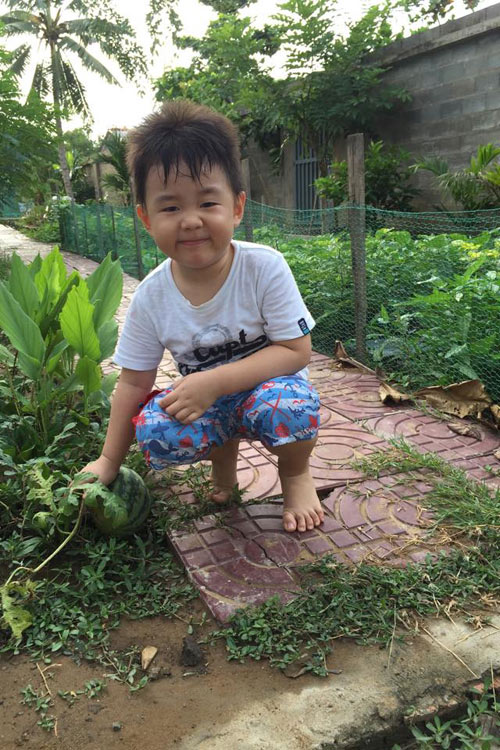 vuon rau trai ca nha an khong het cua le phuong - 17
