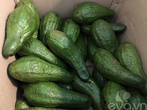 Hàng kem bơ Đà Lạt “thần thánh” gây sốt giới trẻ Sài thành - 5