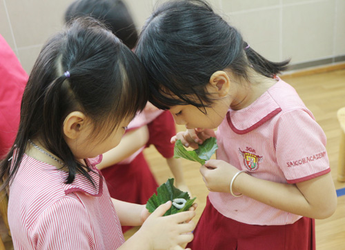 Hội thảo: Sức khỏe và tâm lý cho trẻ mầm non - 2