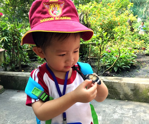 Hội thảo: Sức khỏe và tâm lý cho trẻ mầm non - 3