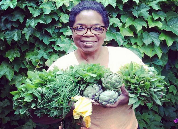 Vườn rau 64000m² của Bà hoàng truyền hình Mỹ - 5