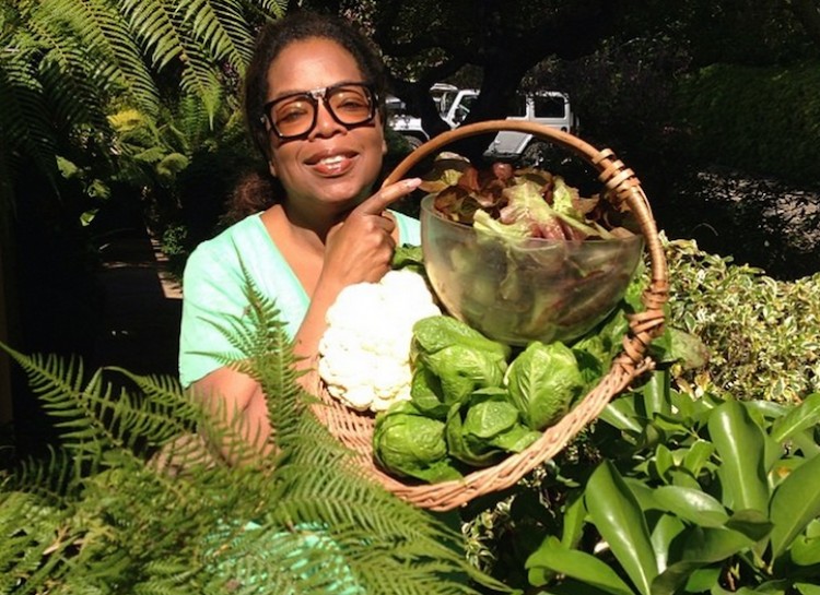 Vườn rau 64000m² của Bà hoàng truyền hình Mỹ - 4