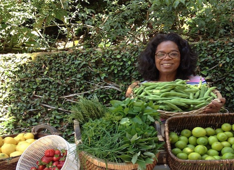 Vườn rau 64000m² của Bà hoàng truyền hình Mỹ - 2