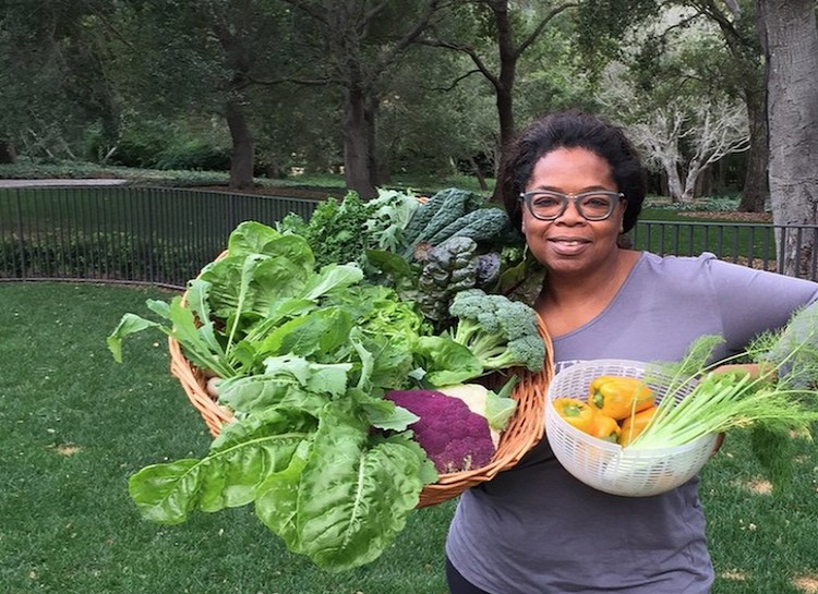 Vườn rau 64000m² của Bà hoàng truyền hình Mỹ - 3