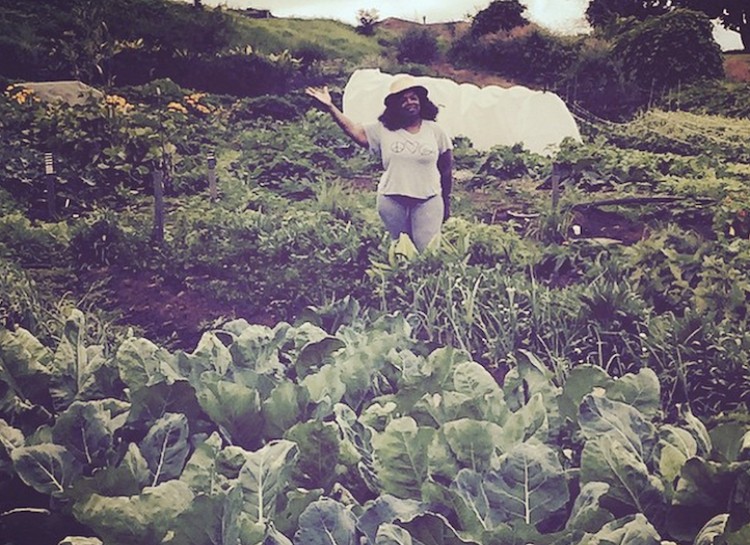 Vườn rau 64000m² của Bà hoàng truyền hình Mỹ - 7