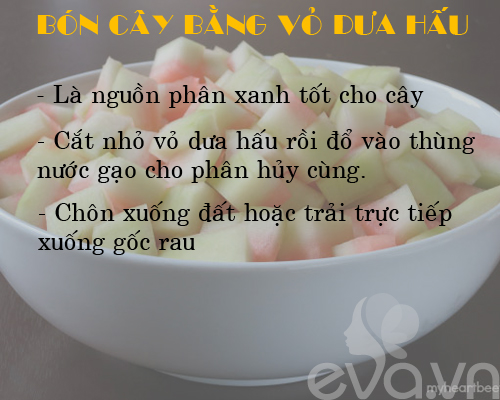 Kinh nghiệm trồng rau, củ, quả trong thùng xốp (Phần 2) - 1
