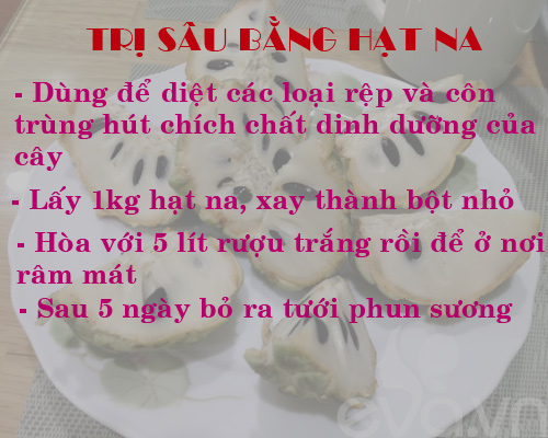 Kinh nghiệm trồng rau, củ, quả trong thùng xốp (Phần 2) - 5