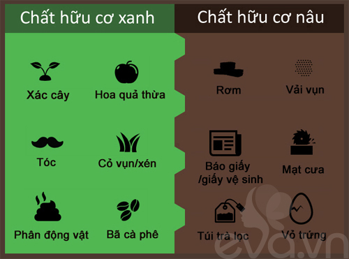 Kinh nghiệm trồng rau, củ, quả trong thùng xốp (Phần 2) - 7