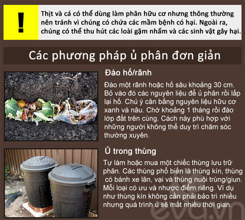 Kinh nghiệm trồng rau, củ, quả trong thùng xốp (Phần 2) - 8