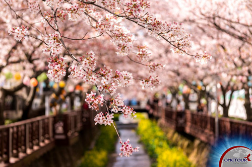 Rộn ràng thị trường du lịch mùa nghỉ lễ - 3