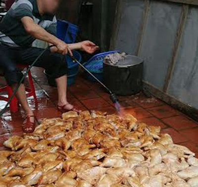 Có phải chúng ta đang phải ‘sống trong sợ hãi’? - 2