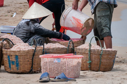 Kinh hoàng nhuộm đỏ ruốc bằng hóa chất - 4