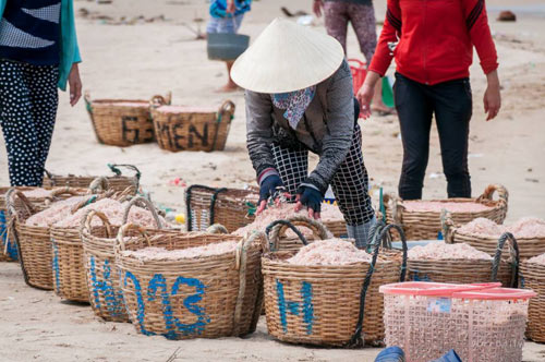 Kinh hoàng nhuộm đỏ ruốc bằng hóa chất - 5