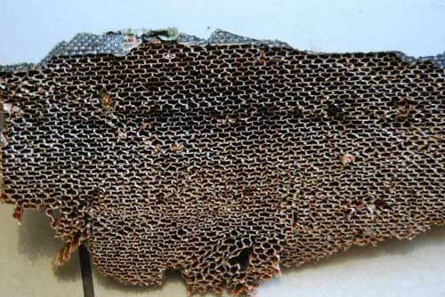 Úc: Mảnh vỡ ở Mozambique gần như chắc chắn của MH370 - 1