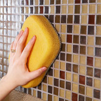 Mẹo vệ sinh bể cá cảnh sạch và đẹp - 9