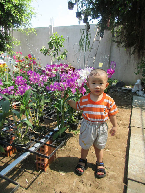 Nguyễn Phú Trọng - AD19187 - 2