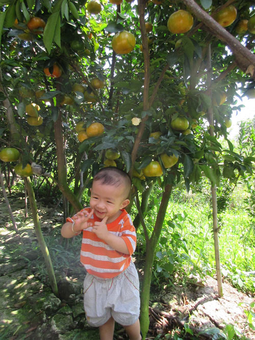 Nguyễn Phú Trọng - AD19187 - 3