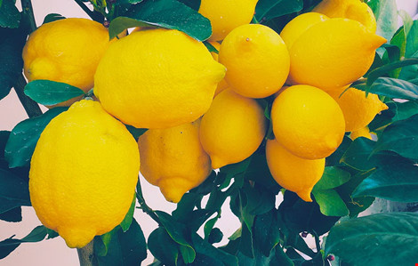 Những tác hại không ngờ khi uống nước chanh giảm cân - 2