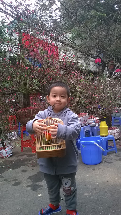 Tô Vũ Trường Giang - AD58580 - 3