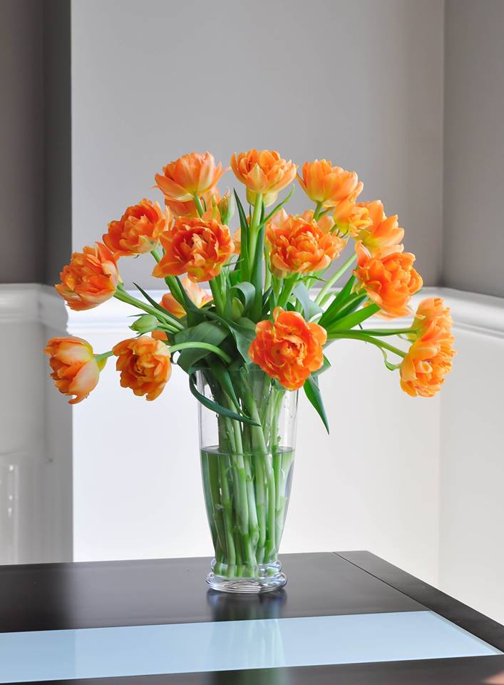 Mê mẩn tài cắm hoa Tulip của mẹ bầu Việt ở Mỹ - 18