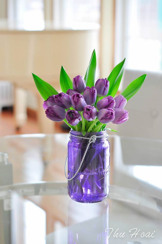 Mê mẩn tài cắm hoa Tulip của mẹ bầu Việt ở Mỹ - 10