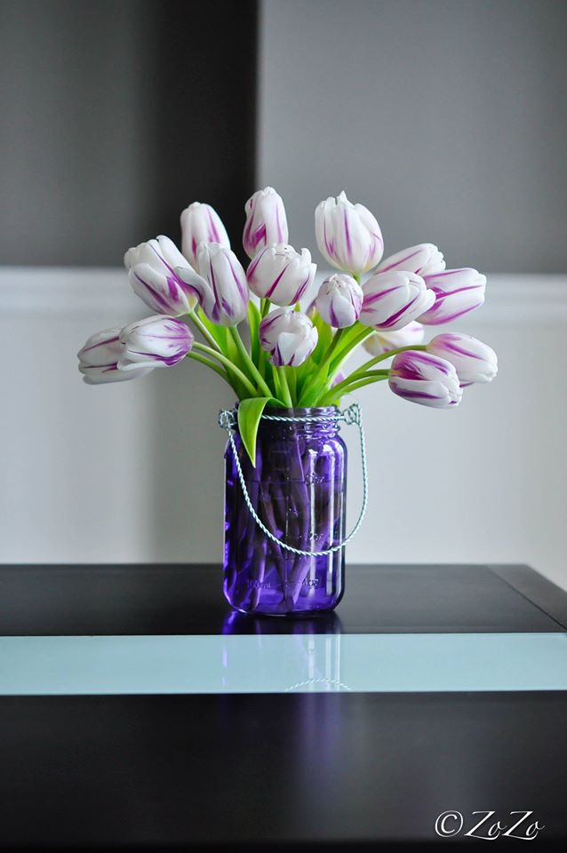 Mê mẩn tài cắm hoa Tulip của mẹ bầu Việt ở Mỹ - 12