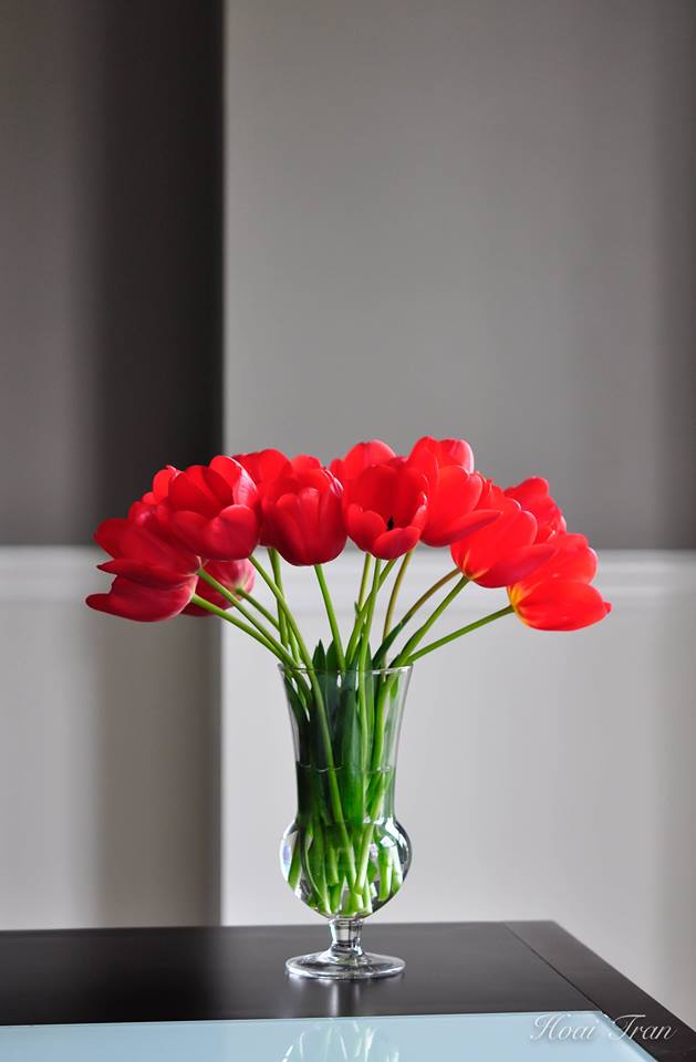 Mê mẩn tài cắm hoa Tulip của mẹ bầu Việt ở Mỹ - 5