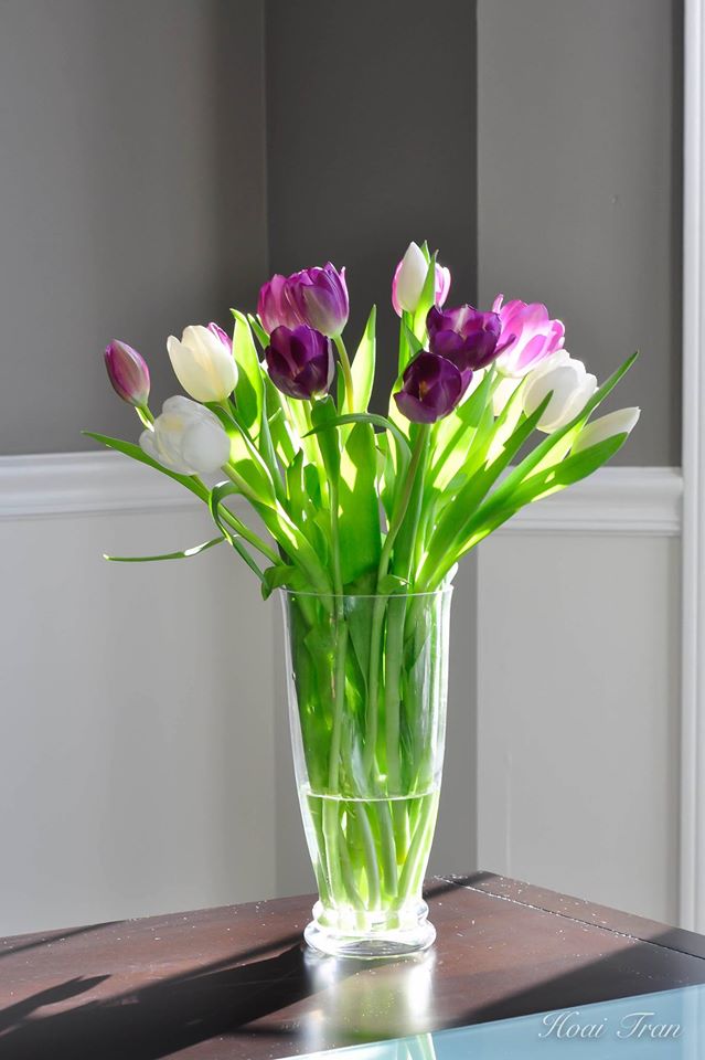 Mê mẩn tài cắm hoa Tulip của mẹ bầu Việt ở Mỹ - 14