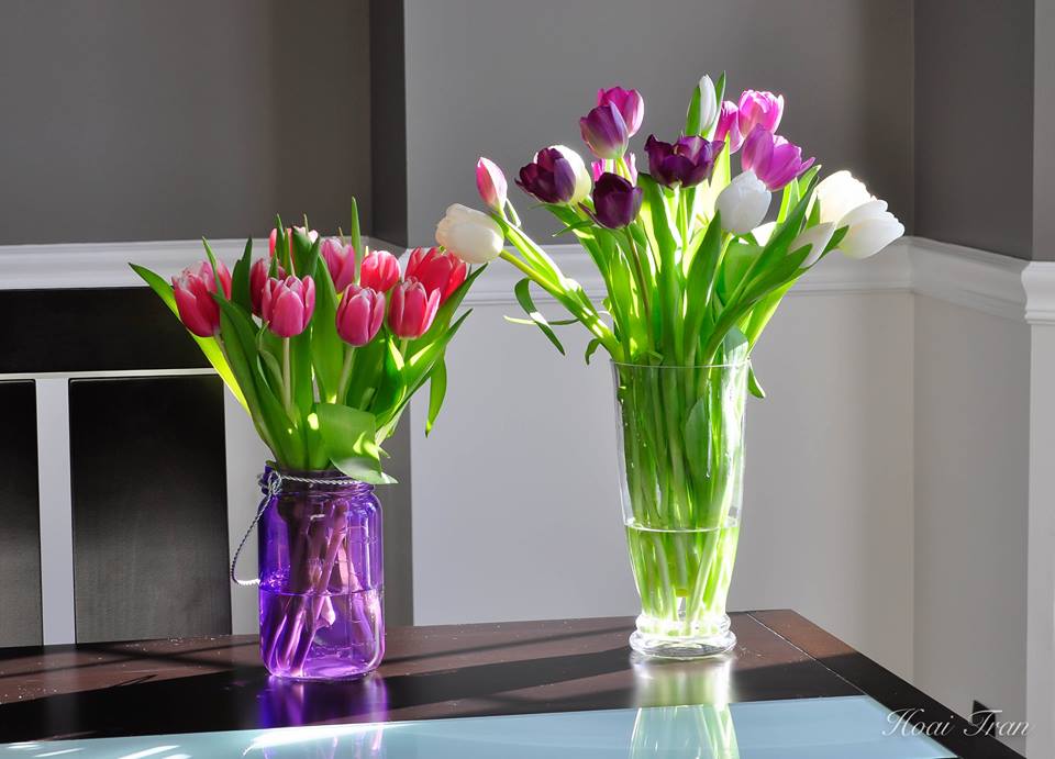Mê mẩn tài cắm hoa Tulip của mẹ bầu Việt ở Mỹ - 13