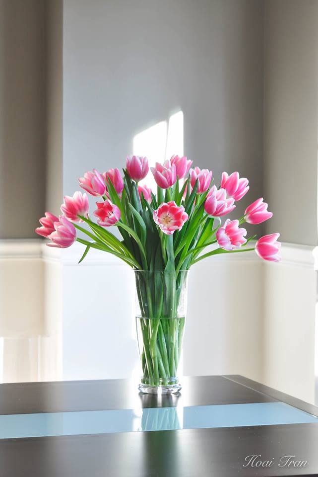 Mê mẩn tài cắm hoa Tulip của mẹ bầu Việt ở Mỹ - 8